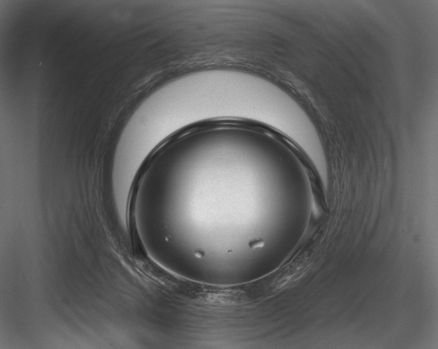 X0000084570072200702231310