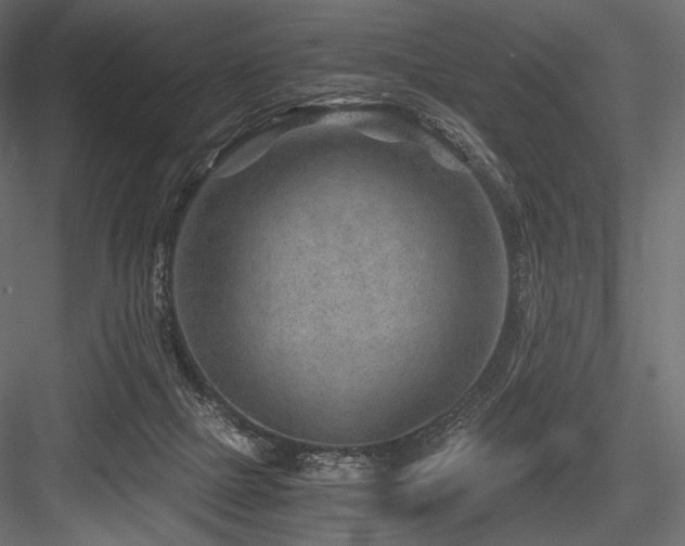 X0000084570073200702231310