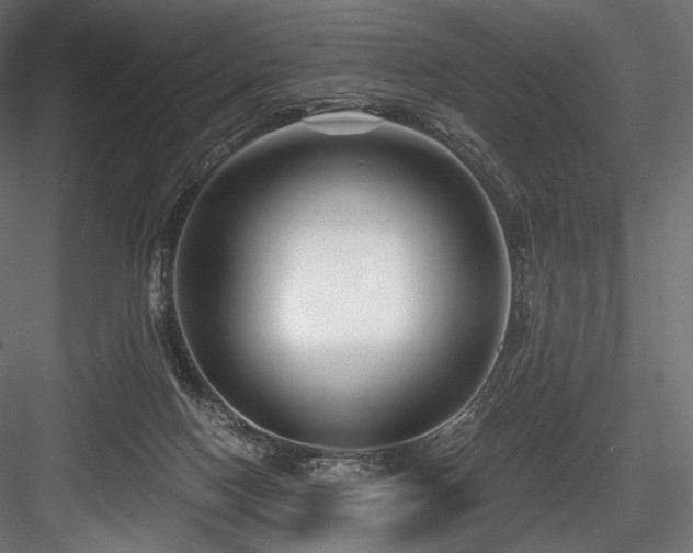 X0000084570074200702231310