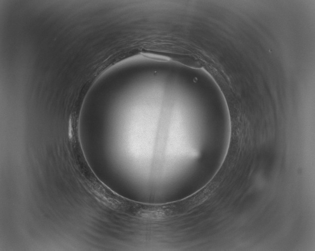 X0000084570075200702231310
