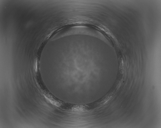 X0000084570076200702231310