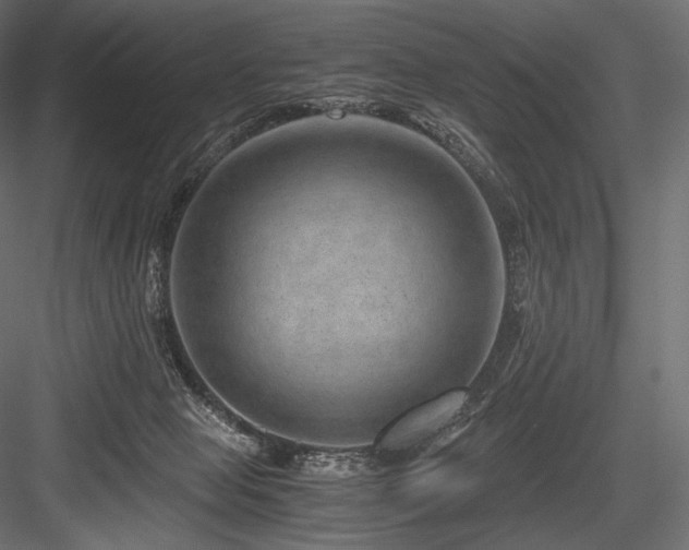 X0000084570077200702231310