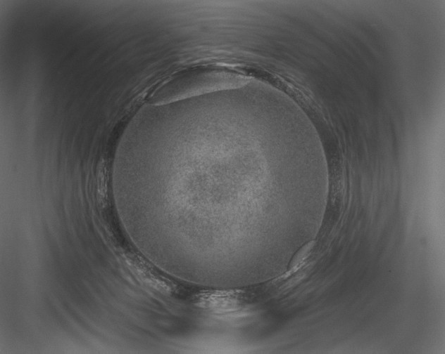 X0000084570078200702231310