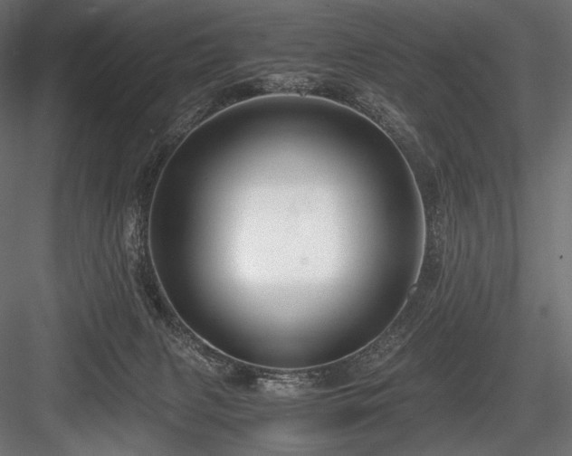 X0000084570079200702231310