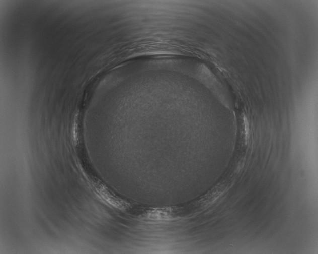 X0000084570080200702231310