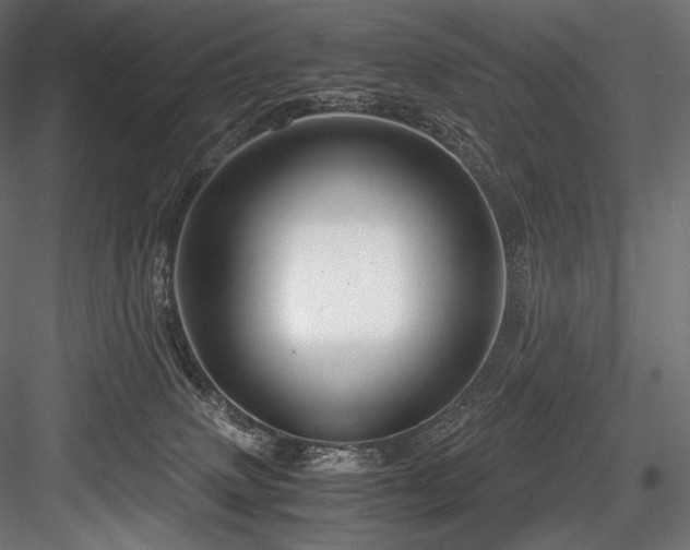 X0000084570083200702231310
