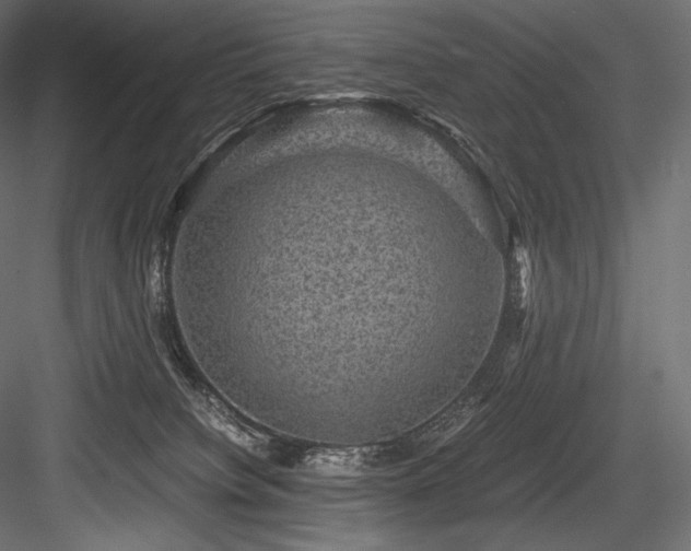 X0000084570084200702231310