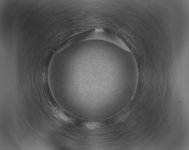 X0000084570085200702231310