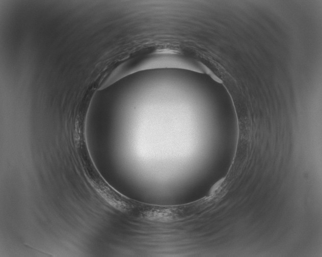 X0000084570086200702231310