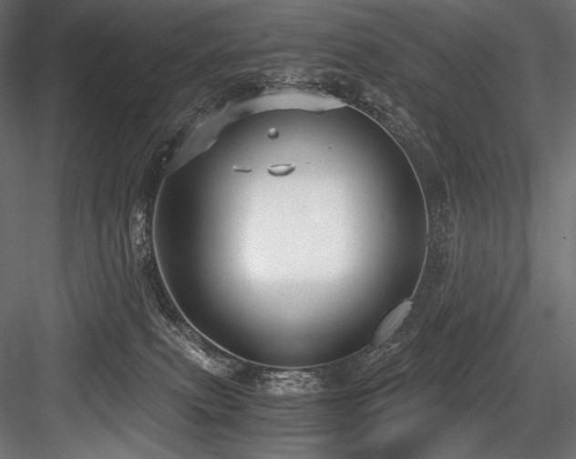 X0000084570087200702231310