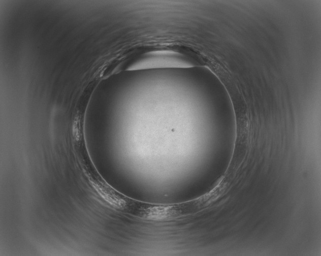 X0000084570090200702231311