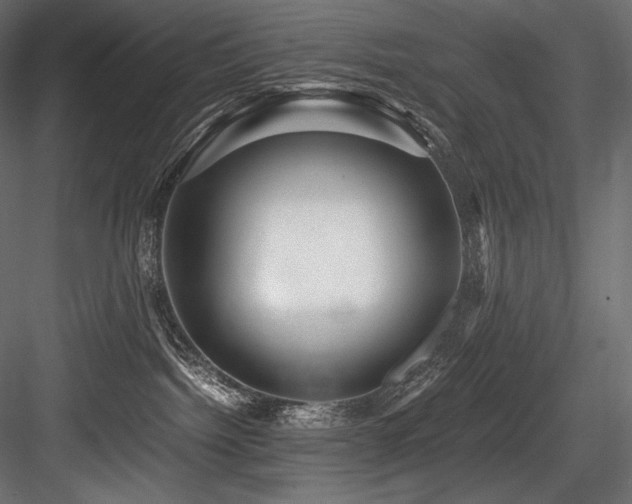 X0000084570092200702231311