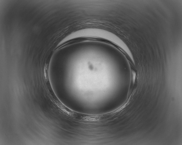 X0000084570094200702231311
