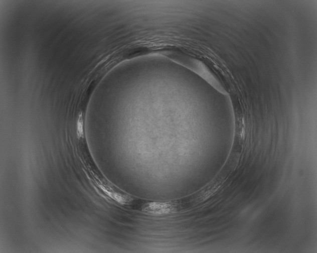 X0000084570095200702231311