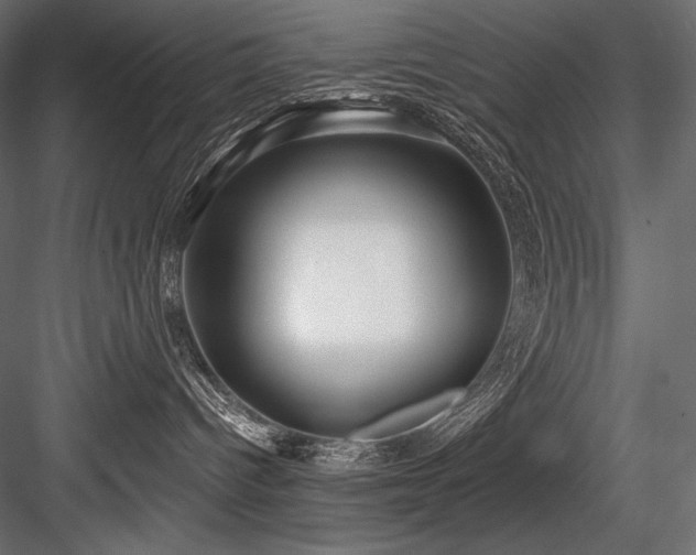 X0000084570096200702231311
