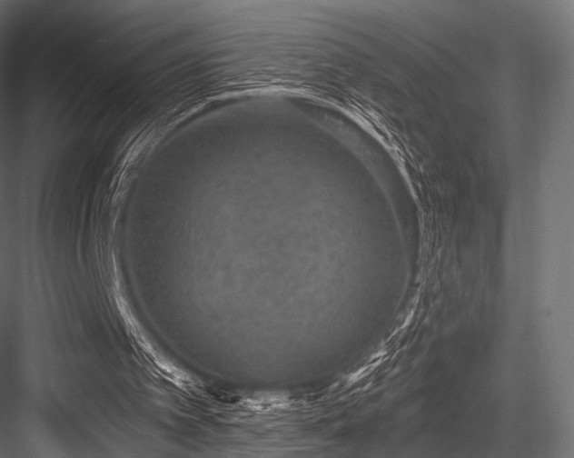 X0000084570097200702231310