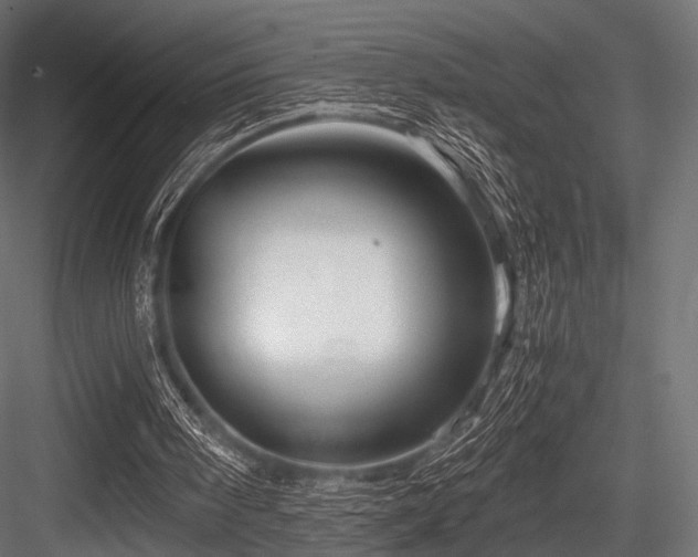 X0000084570098200702231310