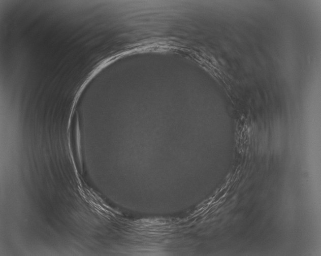X0000084570100200702231310
