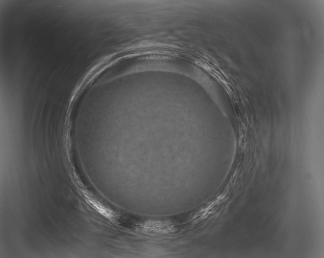 X0000084570101200702231310