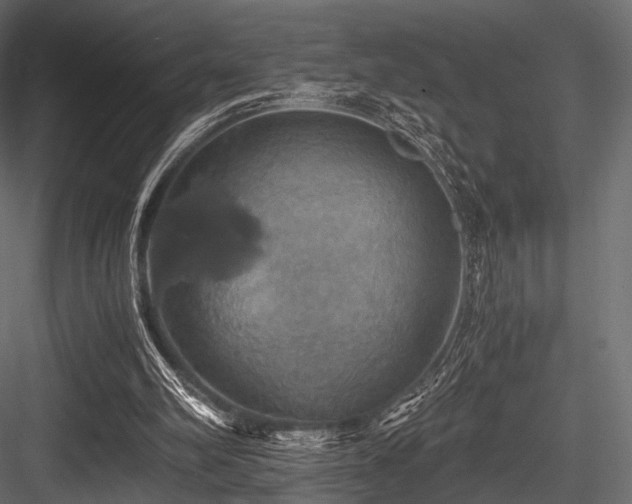 X0000084570102200702231310