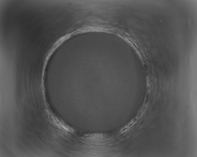 X0000084570104200702231310