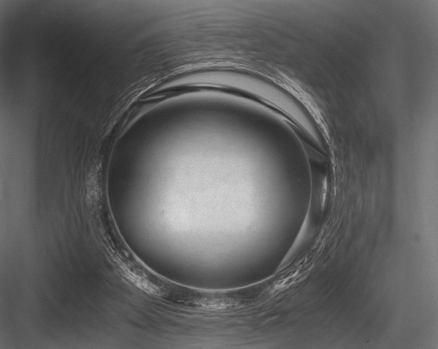 X0000084570105200702231310