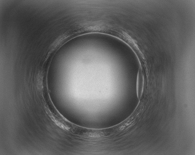 X0000084570106200702231310