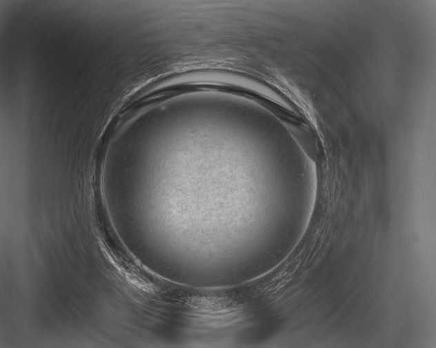 X0000084570107200702231310