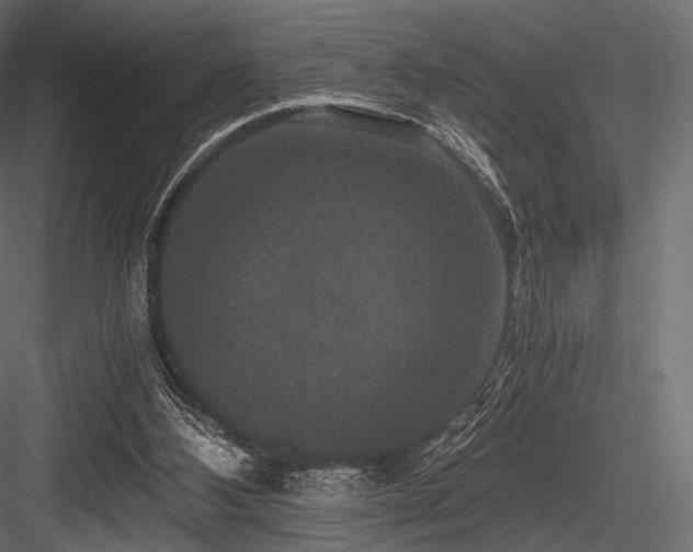X0000084570108200702231310