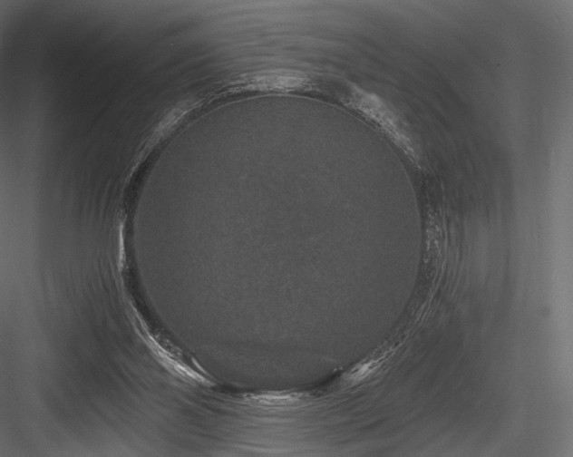 X0000084570110200702231310