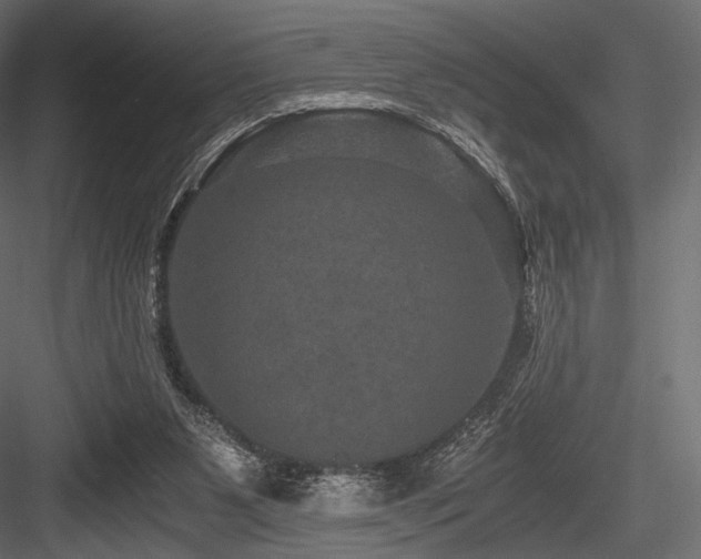 X0000084570111200702231310