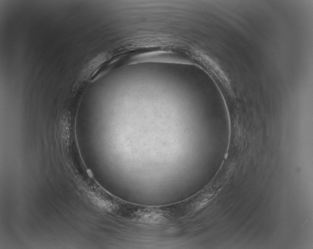 X0000084570113200702231310