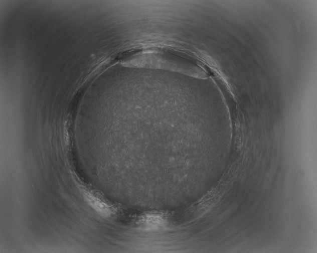 X0000084570114200702231310