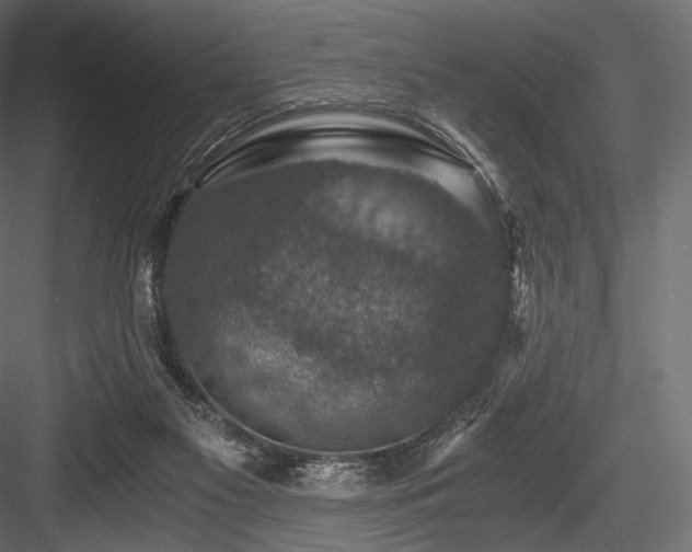 X0000084570117200702231309