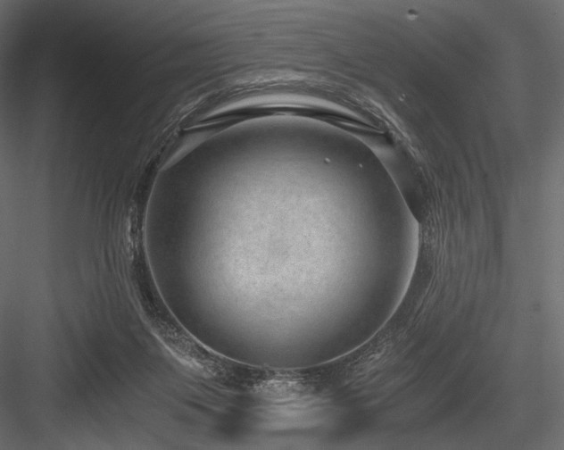 X0000084570119200702231309