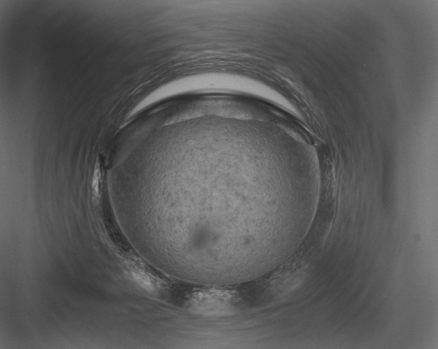 X0000084570125200702231309