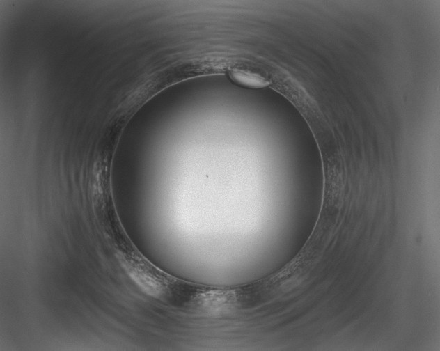 X0000084570126200702231309