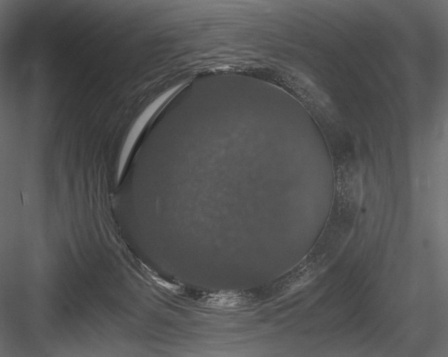 X0000084570127200702231309