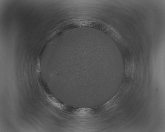 X0000084570128200702231309