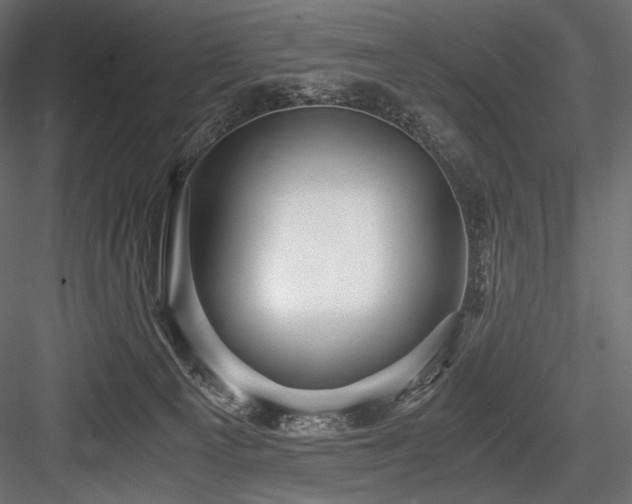X0000084570129200702231309