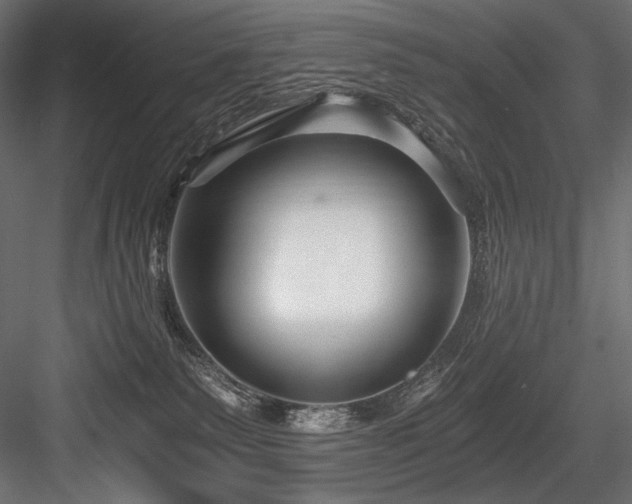 X0000084570135200702231309