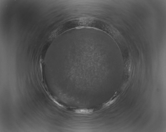 X0000084570137200702231309