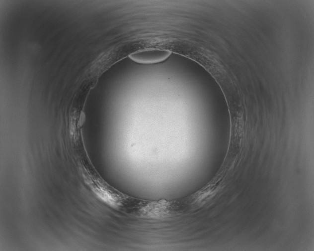X0000084570138200702231309