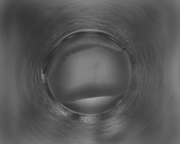 X0000084570139200702231309
