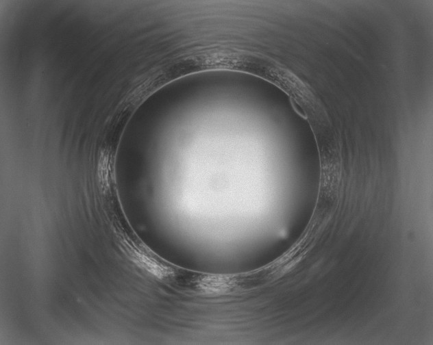 X0000084570142200702231309