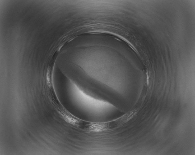 X0000084570143200702231309