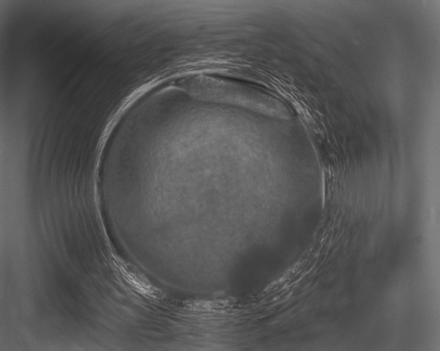 X0000084570147200702231308