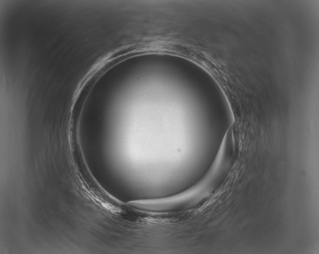 X0000084570152200702231308