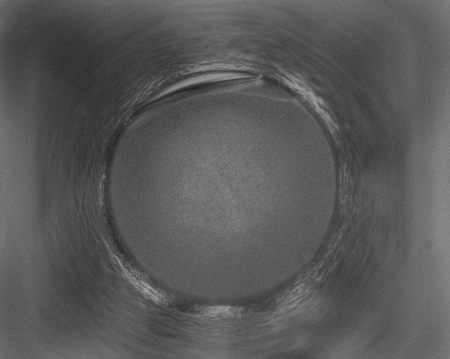 X0000084570153200702231308
