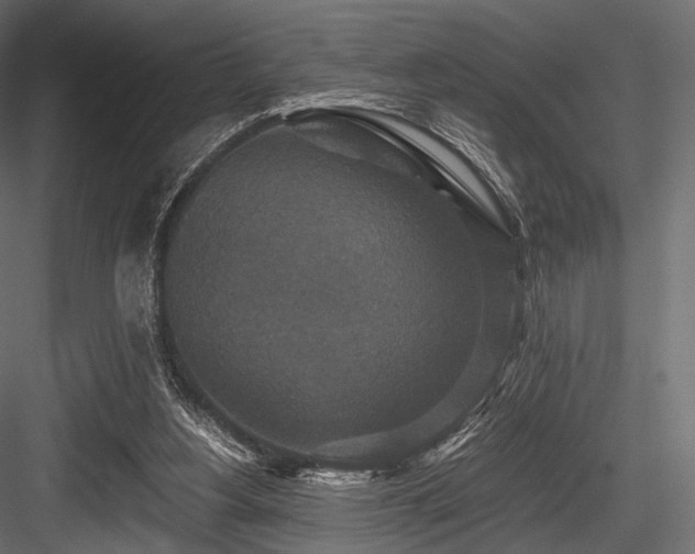 X0000084570156200702231308